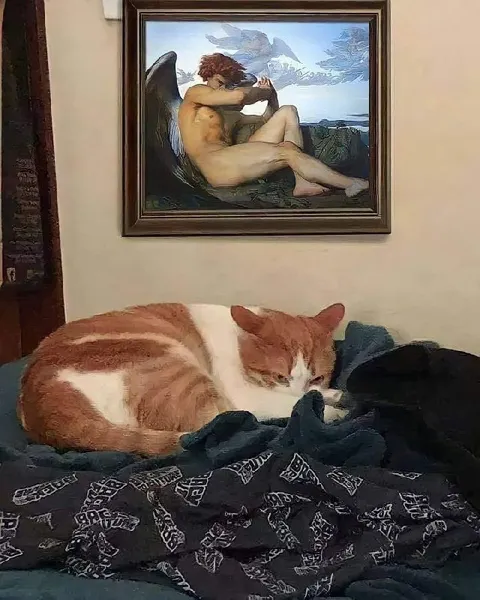 Кот под картиной с ангелом