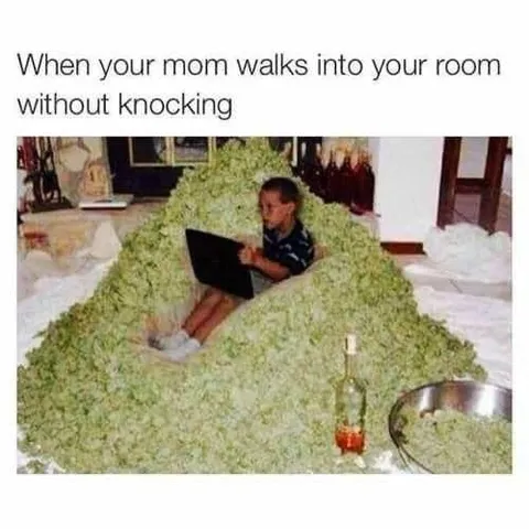 Mom Walks In Without Knocking