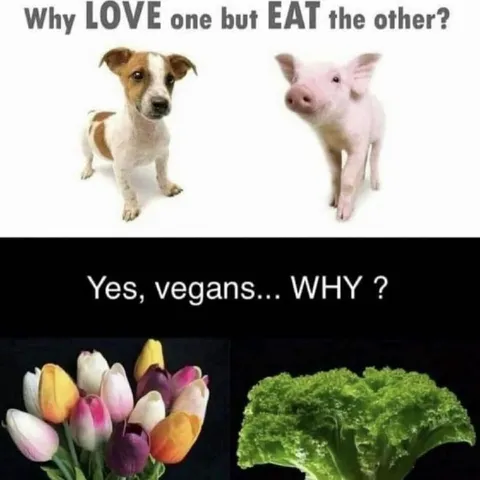 Why Love One but Eat the Other