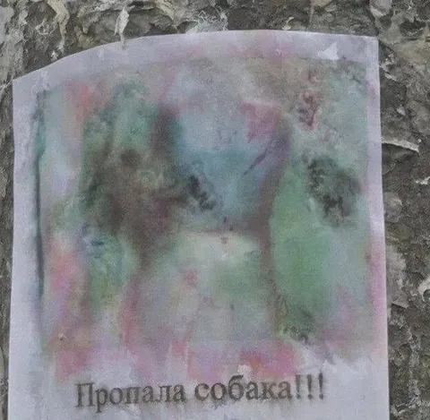 Пропала собака на странном фото