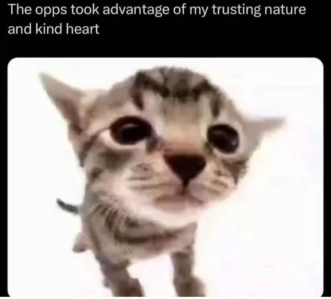 Trusting Kitten Betrayed