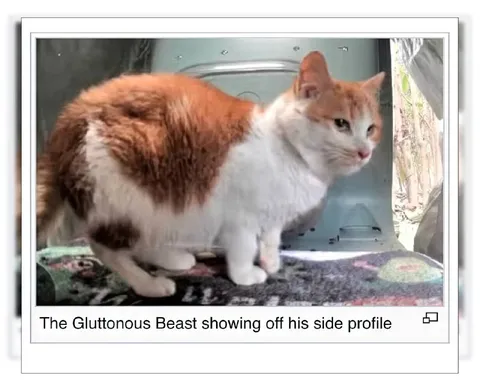 The Gluttonous Beast Side Profile