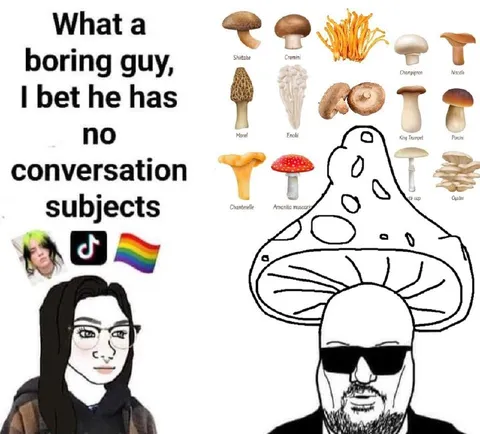 Boring Guy Mushroom Conversations