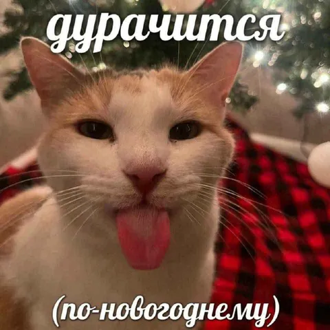 Дудвачипся по-новогоднему
