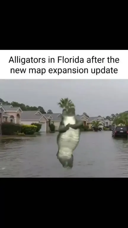 Florida Alligators After Map Update