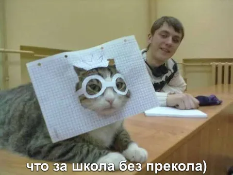 Школа без прикола