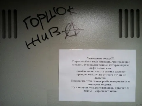 Тупорылая свинья слушает музыку