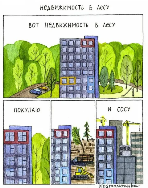 Недвижимость в лесу