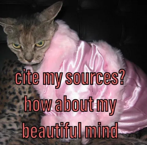 Beautiful Mind Sources Cat