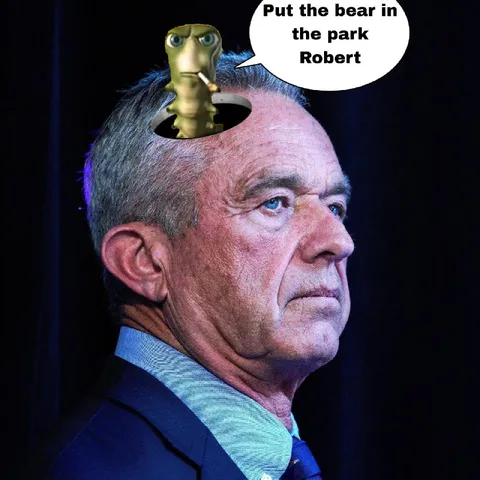 Put the Bear in the Park Robert