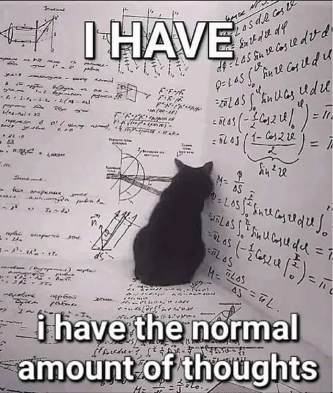Cat With Normal Thoughts