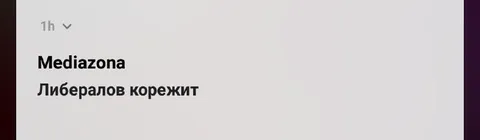 Либералов корежит