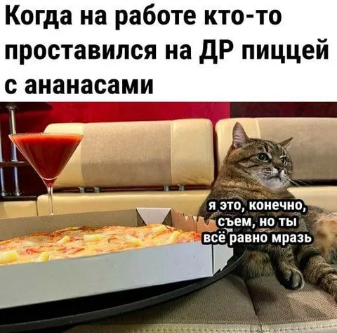 Кот съест пиццу с ананасами