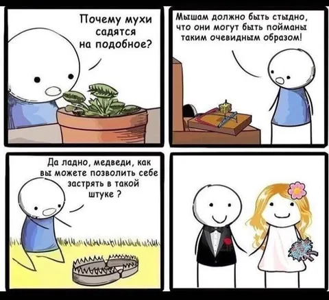 Медведи и очевидные ловушки