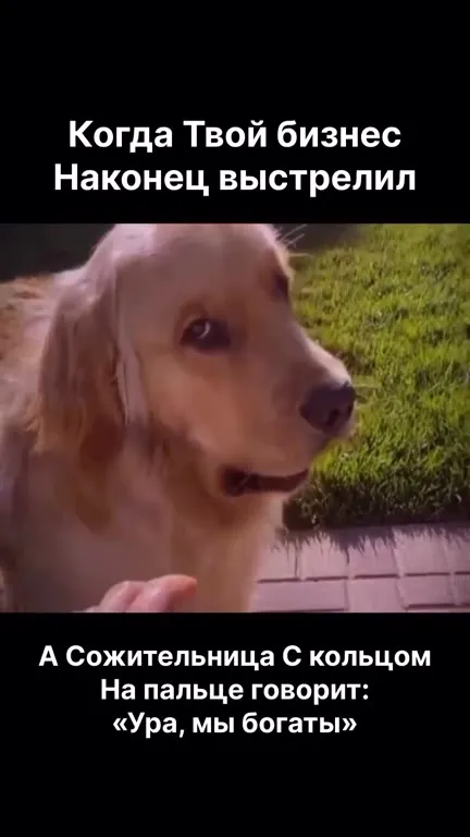 Когда бизнес наконец выстрелил