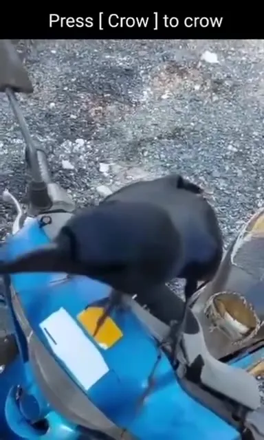 Press Crow to Crow
