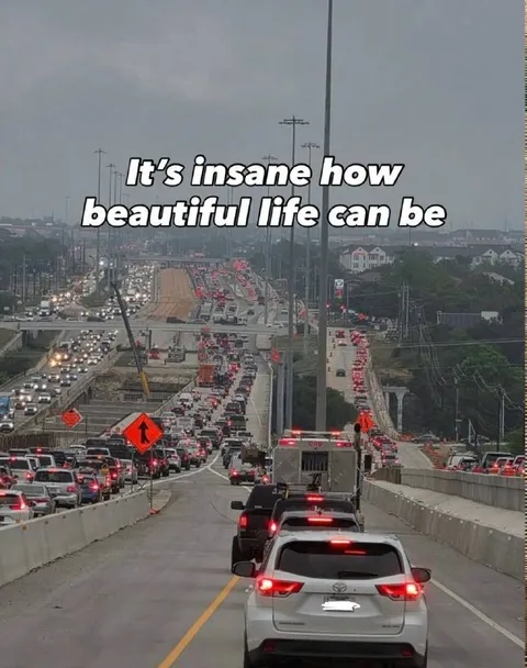 Beautiful Life in Traffic