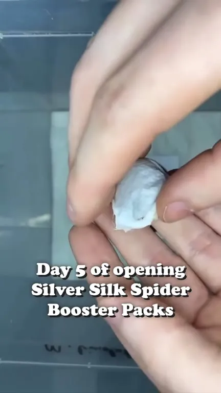Silver Silk Spider Booster Pack Surprise