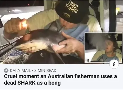 Dead Shark as a Bong