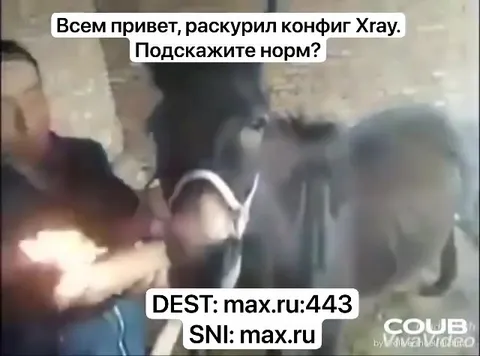 Конфиг Xray на осле