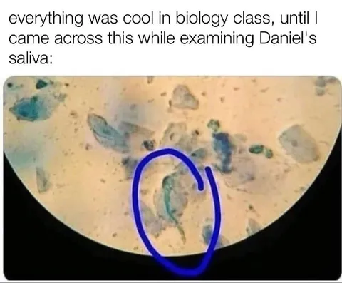 Daniel's Saliva Under the Microscope