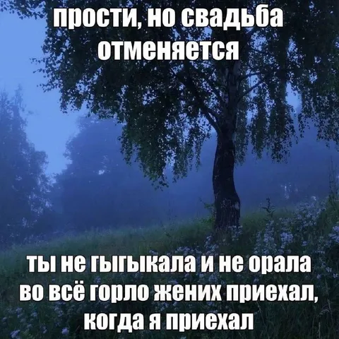 Свадьба отменяется из-за тишины