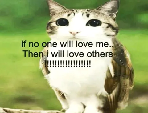 If No One Will Love Me