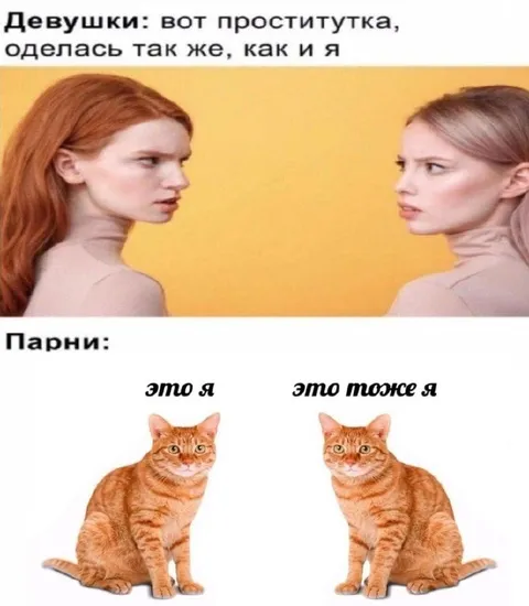 Девушки и парни видят одинаковых котов