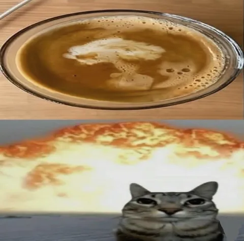 Кот перед чашкой кофе