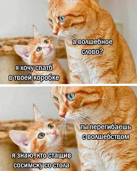 Волшебное слово для коробки