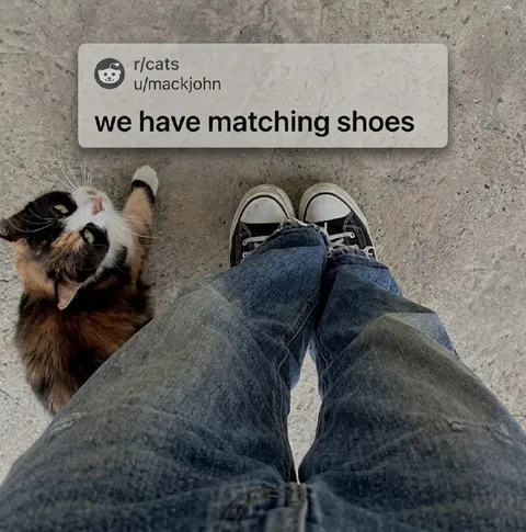 Matching Shoes With a Cat