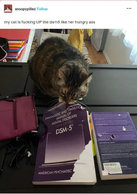 Cat Eats the DSM-5