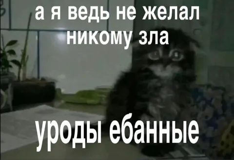Я ведь не желал никому зла