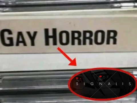 Gay Horror Signalis