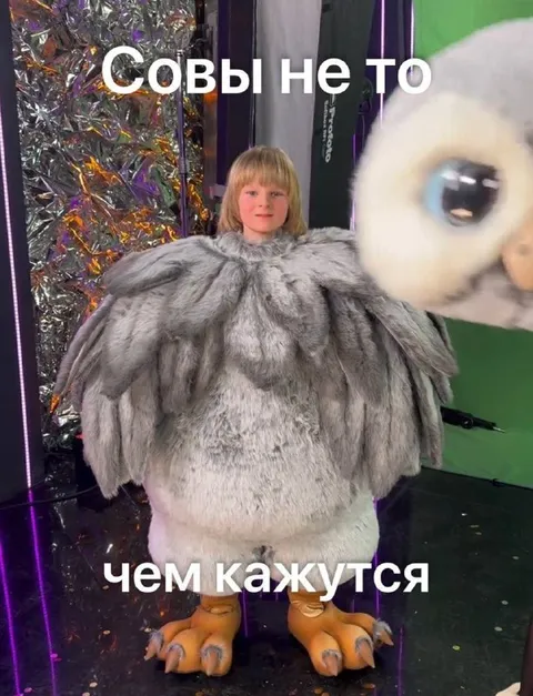 Совы не то, чем кажутся