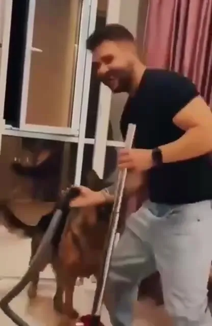 Собака против пылесоса