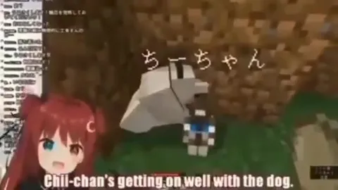 ちーちゃんと犬のなかよし動画