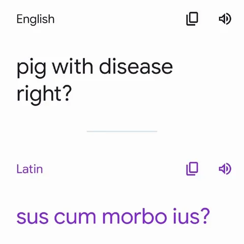 Pig With Disease in Latin