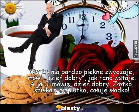 Dzień dobry, Złotko