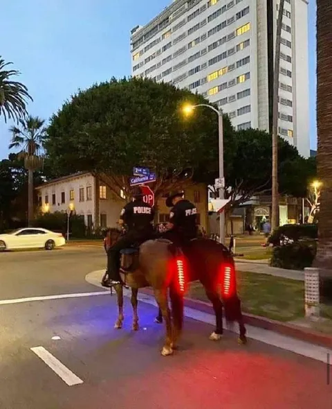 Mounted Police on Patrol
