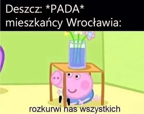 Mieszkańcy Wrocławia po deszczu