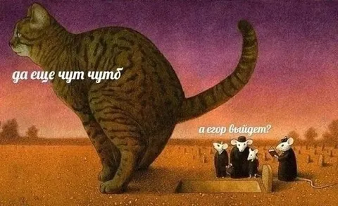 Большой кот и маленькие люди