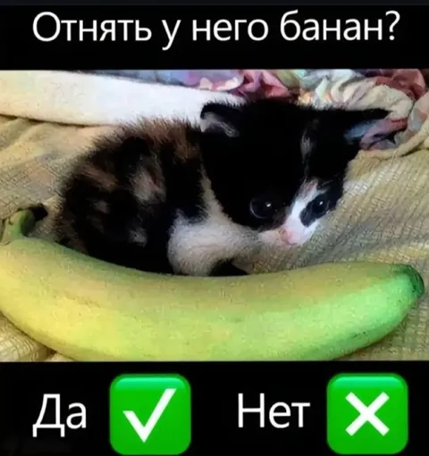 Отнять у кота банан