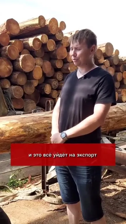 Почему русский лес уходит на экспорт