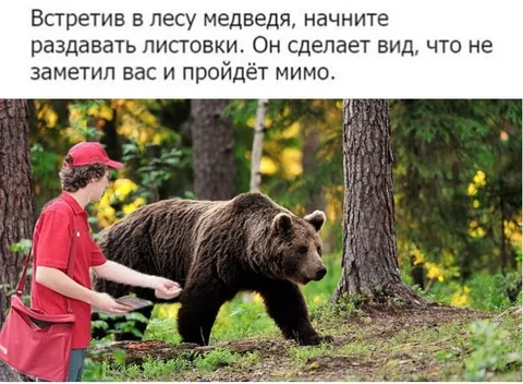 Раздача листовок медведю