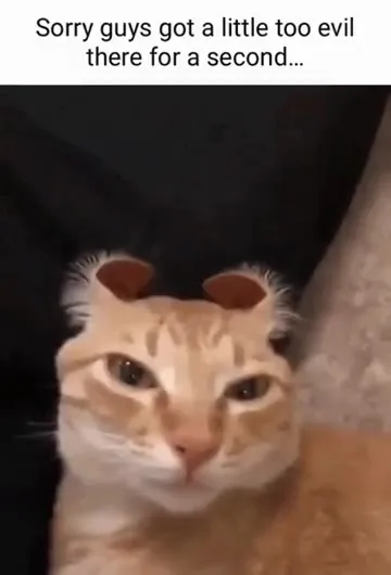 Cat Turns Evil for a Second