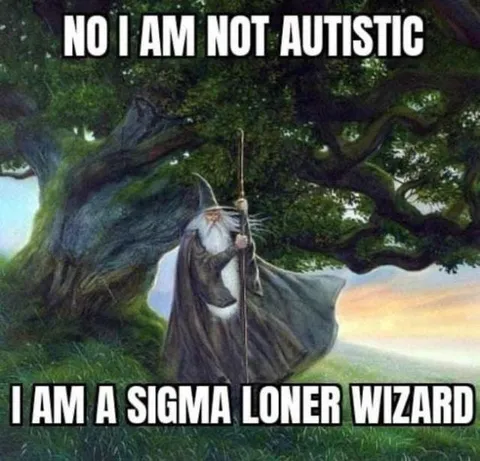 Sigma Loner Wizard