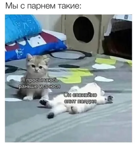 Мы с парнем по утрам