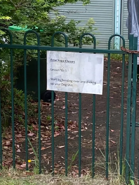 Free Yoga Classes Dog Shit