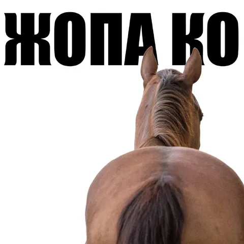 Жопа коня